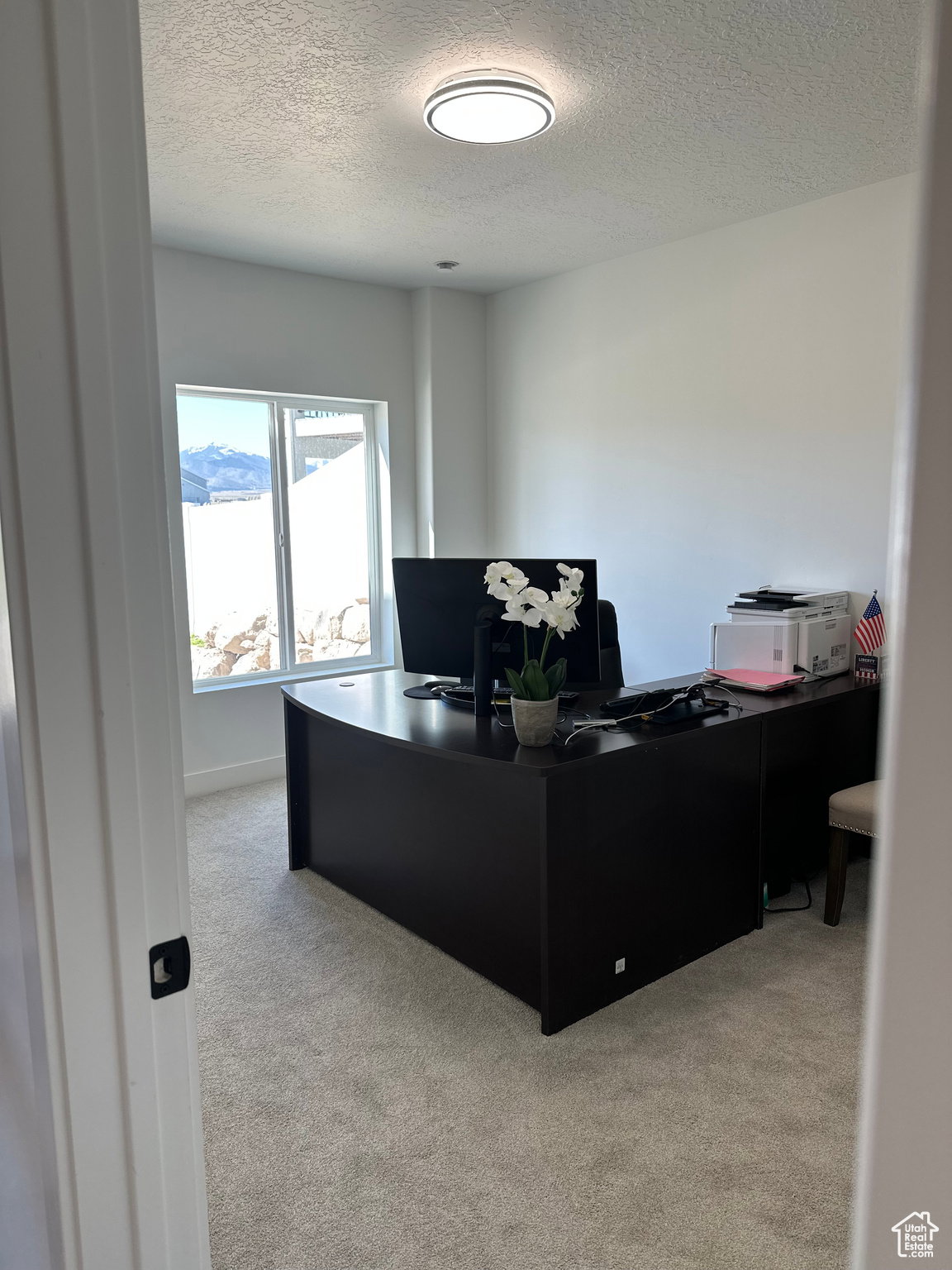 Office with light carpet and a textured ceiling