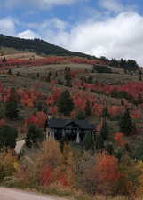 Mountain view with a heavily wooded area
