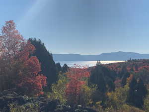 View of mountain background featuring a heavily wooded area