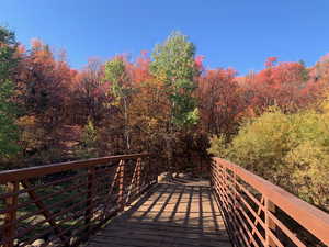 Deck with a view of trees