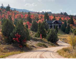 Mountain view with a heavily wooded area