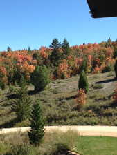 View of yard with a wooded view