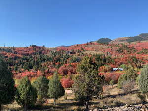 View of mountain backdrop featuring a forest