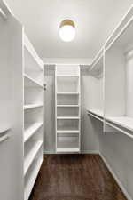 Walk in closet with dark colored carpet
