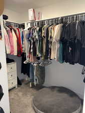 Walk in closet featuring light colored carpet