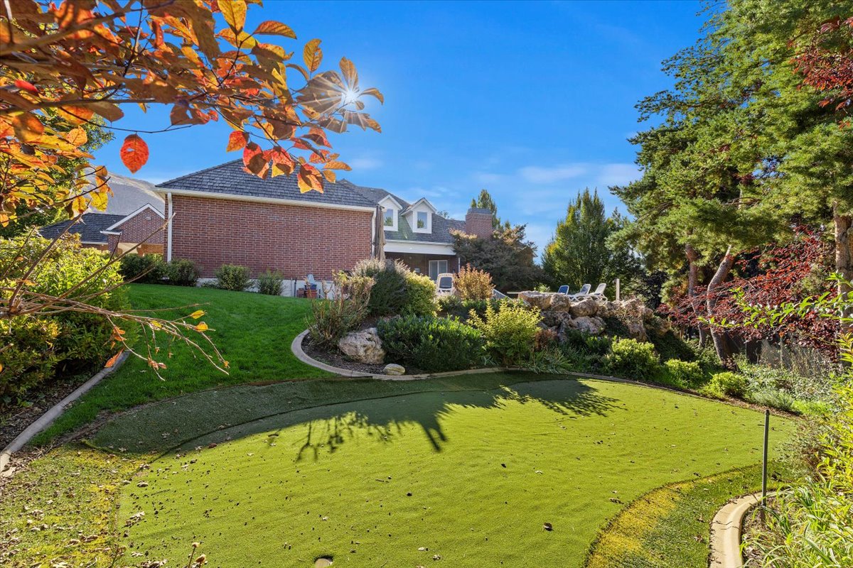 View of grassy yard