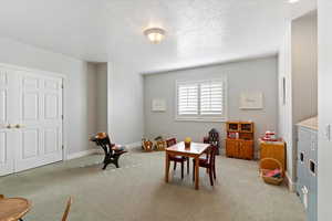 Recreation room featuring carpet and a textured ceiling