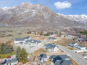 Aerial perspective of suburban area featuring mountains