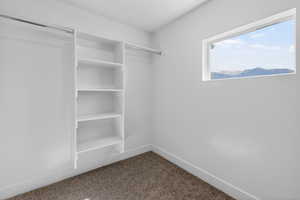 Walk in closet featuring dark colored carpet