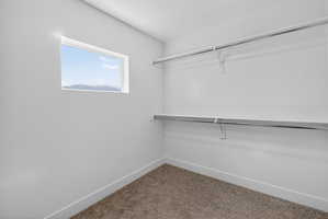 Walk in closet with carpet flooring