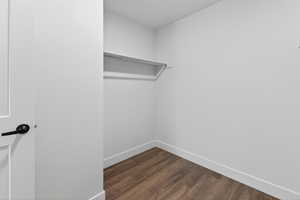 Walk in closet featuring dark wood-type flooring