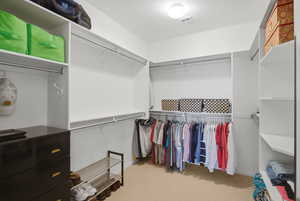Walk in closet featuring light colored carpet