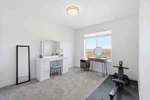 Bedroom with carpet and great lighting.