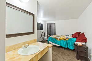 Bathroom featuring vanity, dark colored carpet, and a textured ceiling