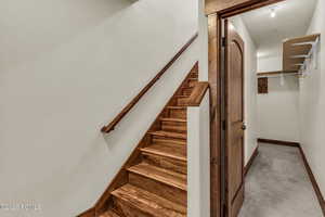 Stairs featuring carpet and baseboards