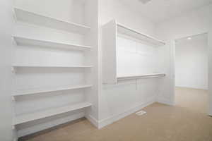 Walk in closet with light colored carpet