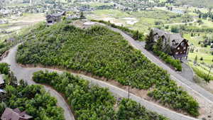 Aerial view of a tree filled landscape