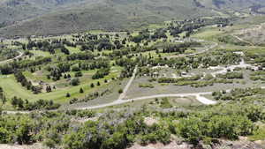 Aerial view of a mountain backdrop and a tree filled landscape