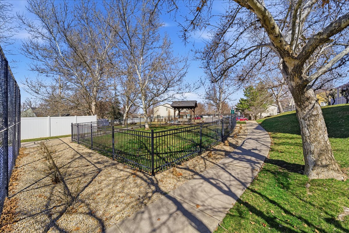 View of yard featuring a patio
