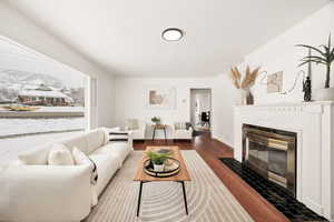 Living area with dark wood finished floors and a fireplace