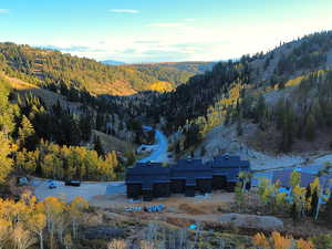 Bird's eye view of a heavily wooded area and a mountain backdrop