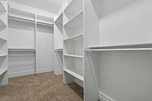 Walk in closet featuring light colored carpet