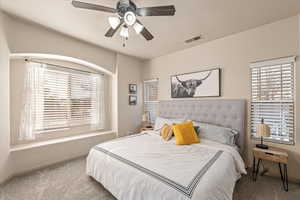 Bedroom featuring carpet flooring, ceiling fan, and multiple windows