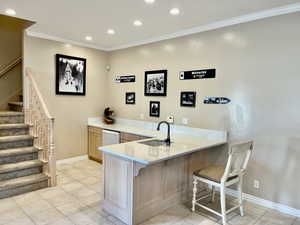 Lower Level Wet Bar and Kitchenet