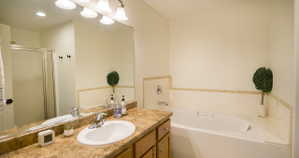 Ensuite bath with deep tub