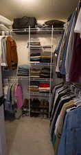 Primary bedroom walk in closet featuring light colored carpet