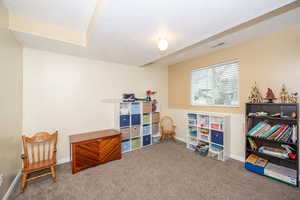 Recreation room with carpet and a textured ceiling