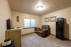 Living area featuring a textured ceiling and light colored carpet