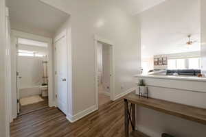 Hall featuring healthy amount of natural light and dark wood finished floors