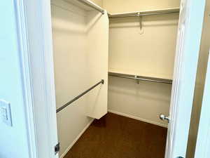 Walk in closet with dark colored carpet