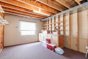 Basement featuring carpet