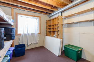 Below grade area featuring dark colored carpet