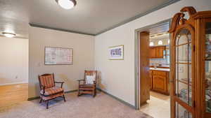 Sitting room with a textured ceiling, light carpet, and crown molding