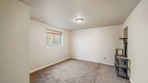 Additional basement bedroom