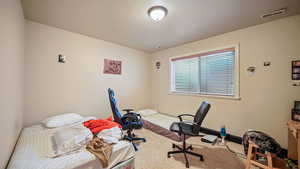 Basement bedroom with carpet