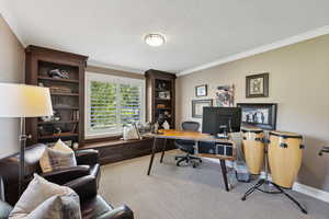 Office featuring crown molding and light colored carpet