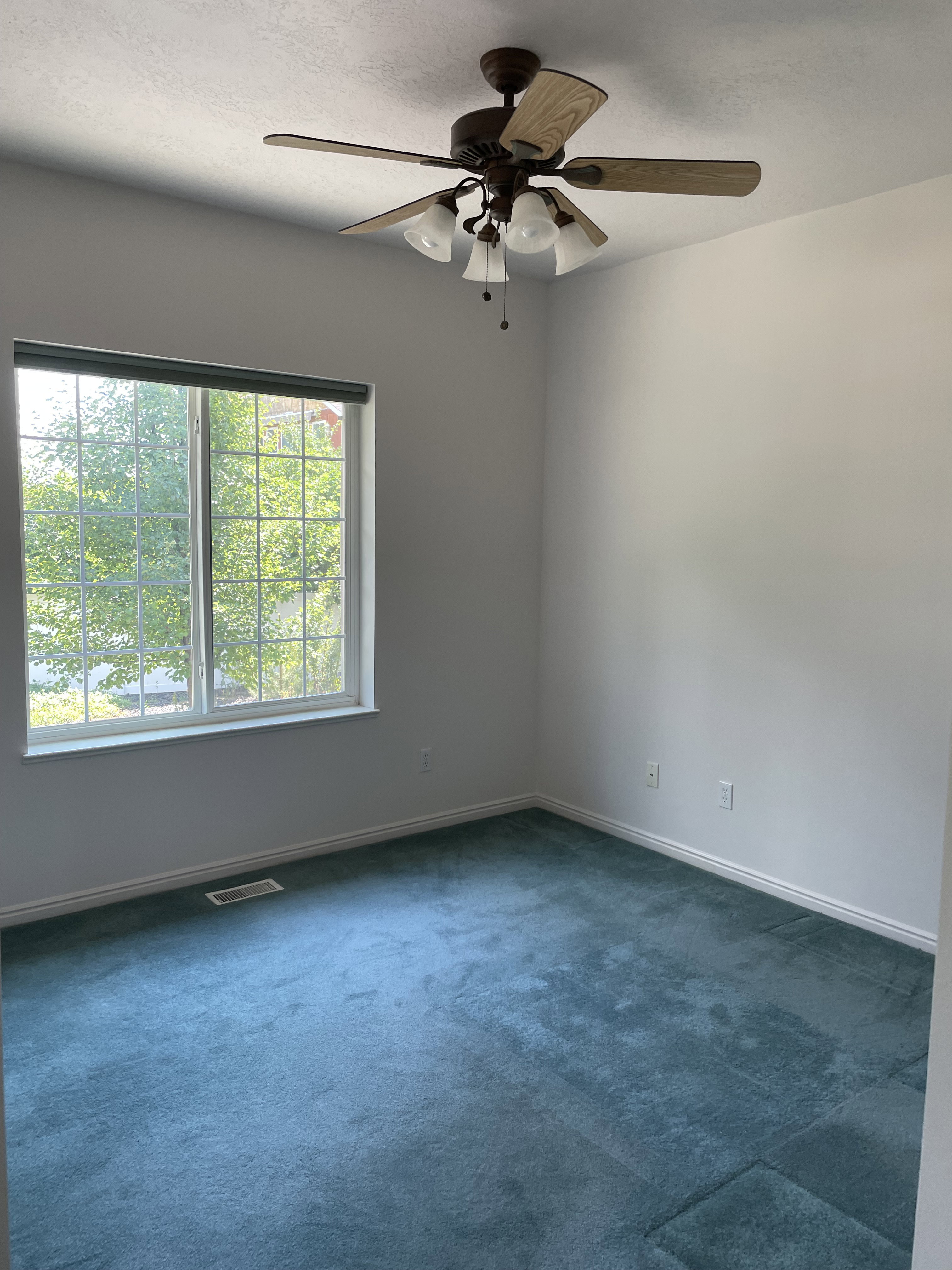 Bright room featuring teal carpeting and white baseboards
