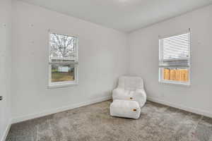 Unfurnished room featuring carpet flooring and plenty of natural light