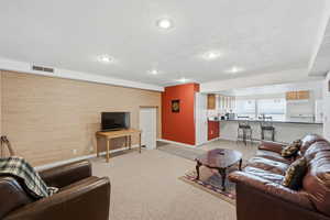 Basement family room