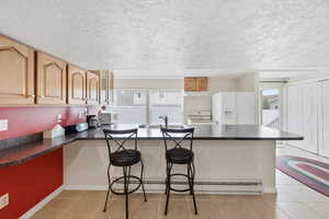 Basement kitchen with bar and extra cabinets