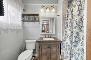 Full bathroom with vanity and a shower with curtain