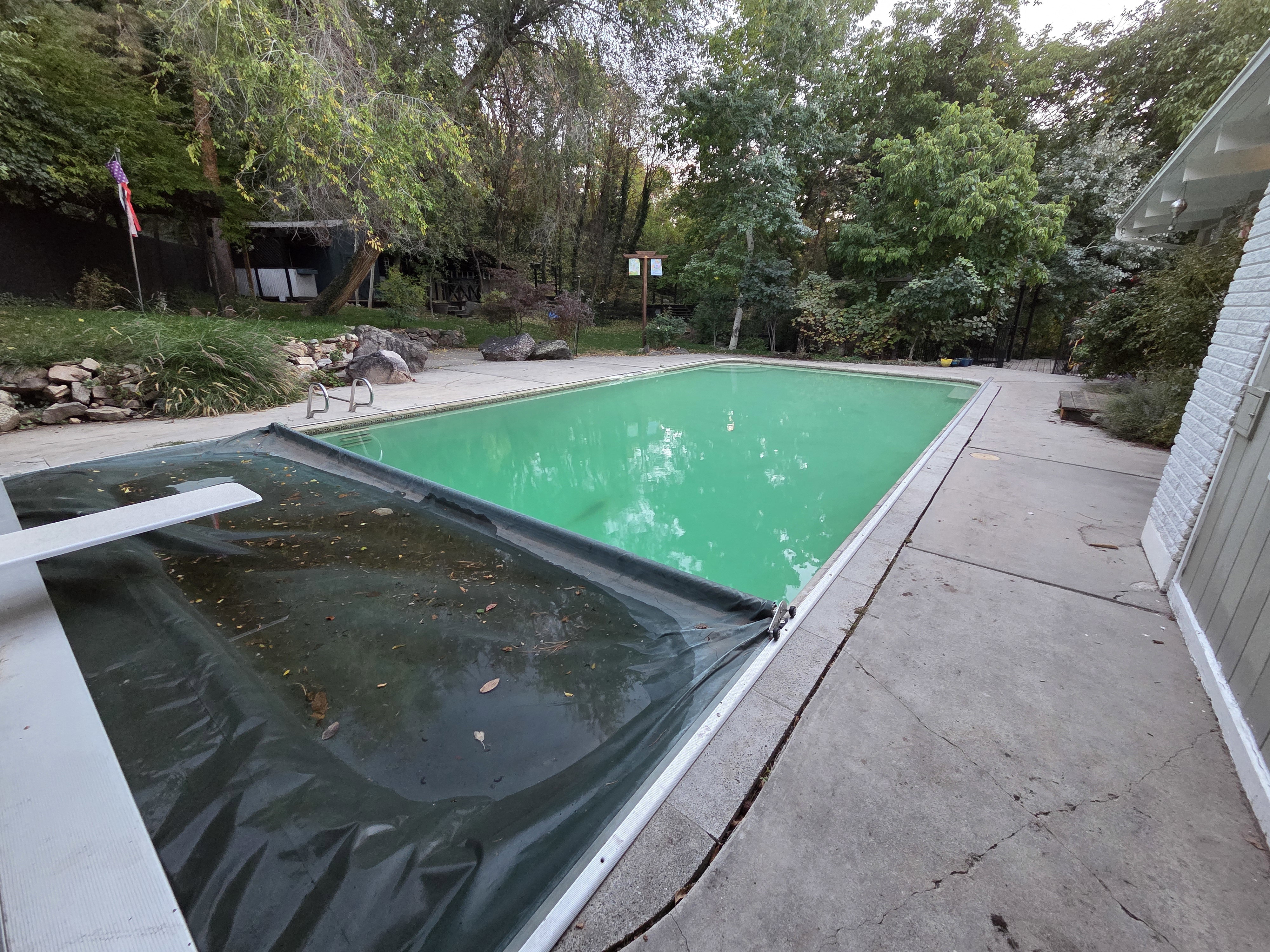Summer Pool Picture
