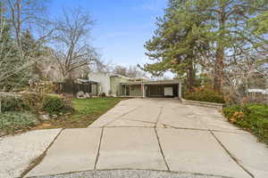 Mid-century modern home featuring a carport and concrete driveway