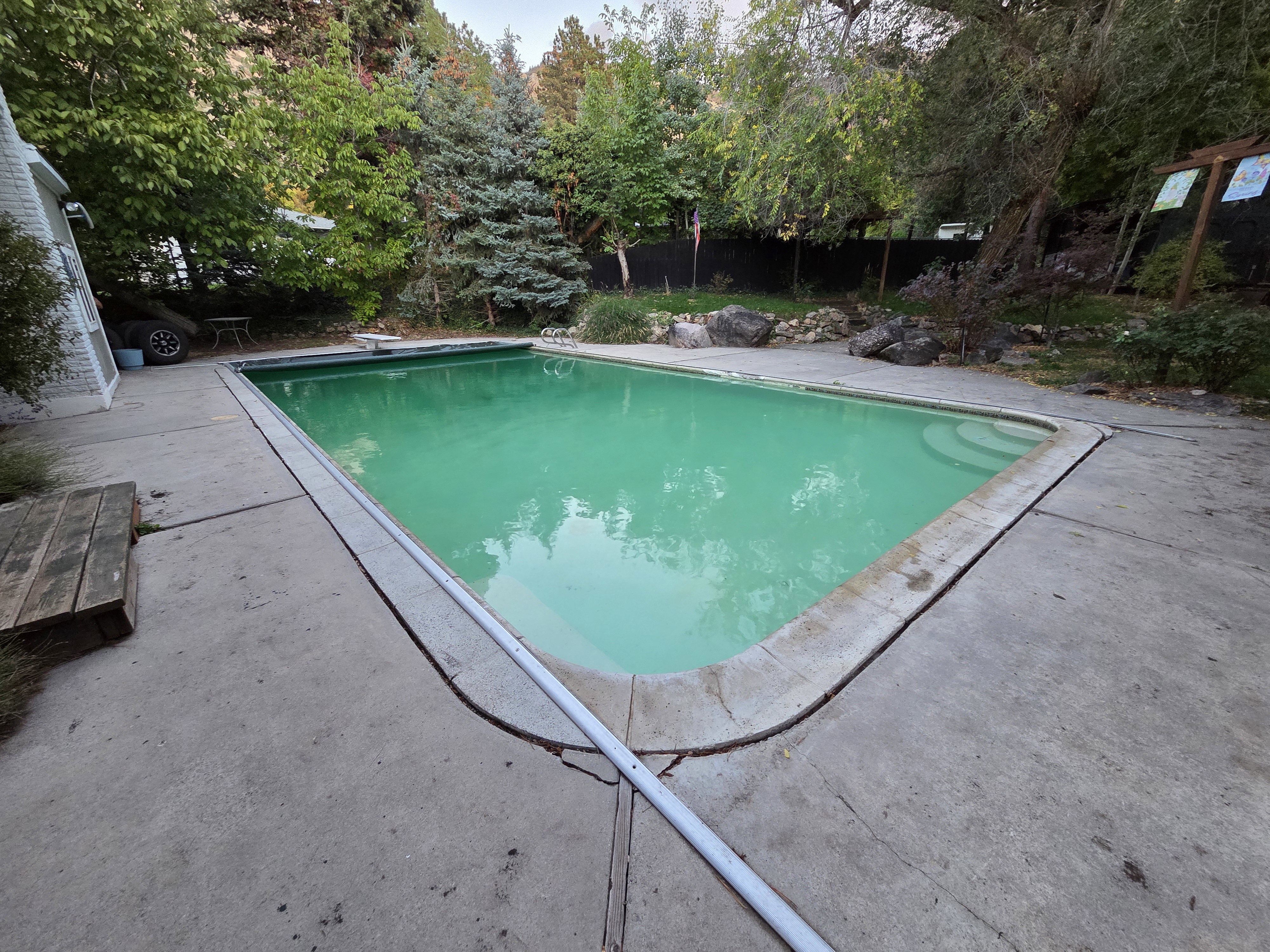 Summer Pool Picture