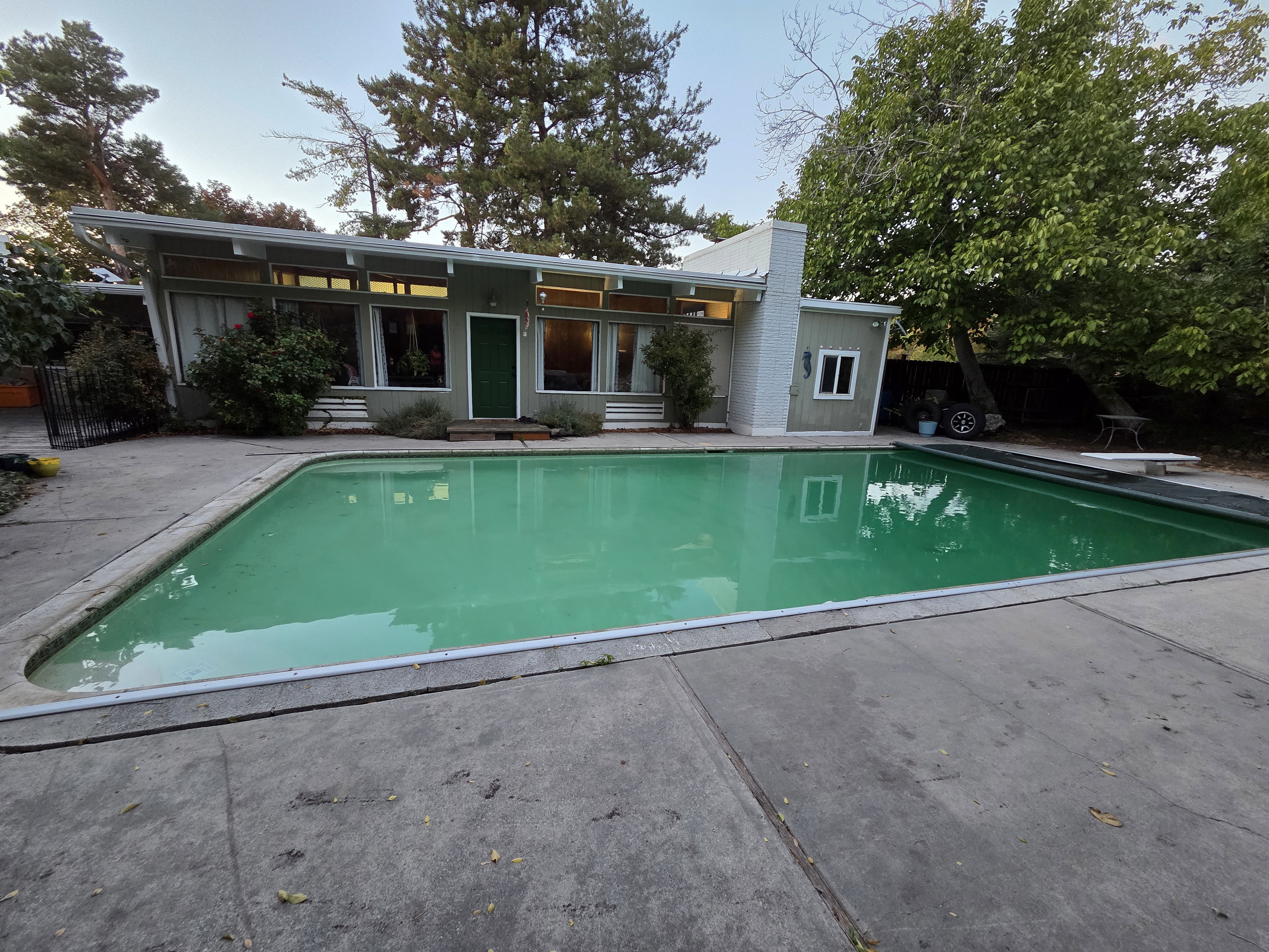 Summer Pool Picture