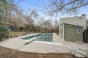 View of swimming pool featuring a diving board, patio surround, and a storage shed